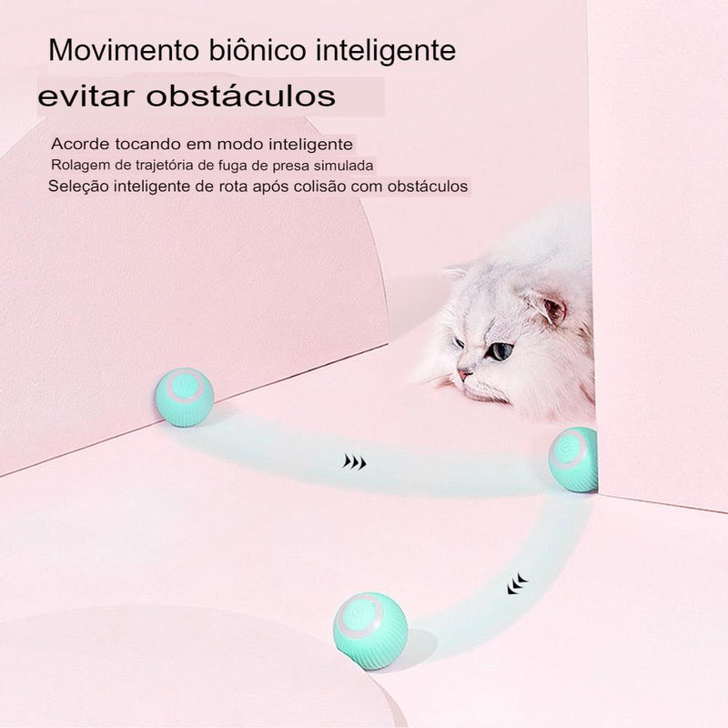 Bola de gato inteligente - Direto Para Você